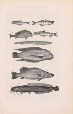 Стэнли Г.М. Как я отыскал Ливингстона. Путешествия, приключения и открытия в Средней Африке и четырехмесячное пребывание с доктором Ливингстоном / Пер. с англ. СПб.: Тип. В. Демакова, 1873.